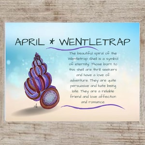 May include: A digital illustration of a purple and red Wentletrap Shell with a blue background. The text "APRIL * WENTLETRAP" is at the top of the image. The text below the shell reads: "The beautiful spiral of the Wentletrap Shell is a symbol of eternity. Those born to this shell are thrill seekers and have a love of adventure. They are quite persuasive and hate being late. They are a reliable friend and love affection and romance."
