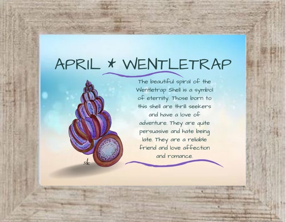 April Seashell Coastal Decor, April Seashell Framed Print, Wentletrap Shell, April Birthday Gift, Nautical Watercolor,Astrology