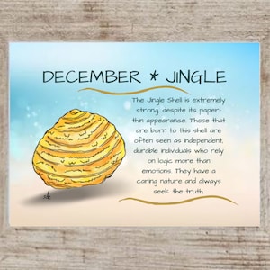 December Seashell Coastal Decor,Seashell Framed Art Print,Nautical Watercolor,Tropical Wall Art,Jingle Shell,December Birthday