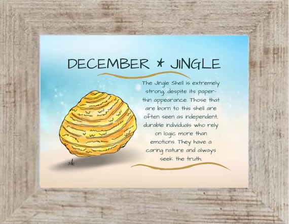 December Seashell Coastal Decor,Seashell Framed Art Print,Nautical Watercolor,Tropical Wall Art,Jingle Shell,December Birthday