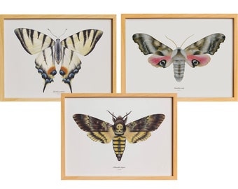 3 Vintage-Schmetterlings-POSTER • Schmetterlings-Aquarell-Poster • Schmetterlingsillustrationen • Schmetterlings-Wanddekoration • Entomologie-Kunst • Poster