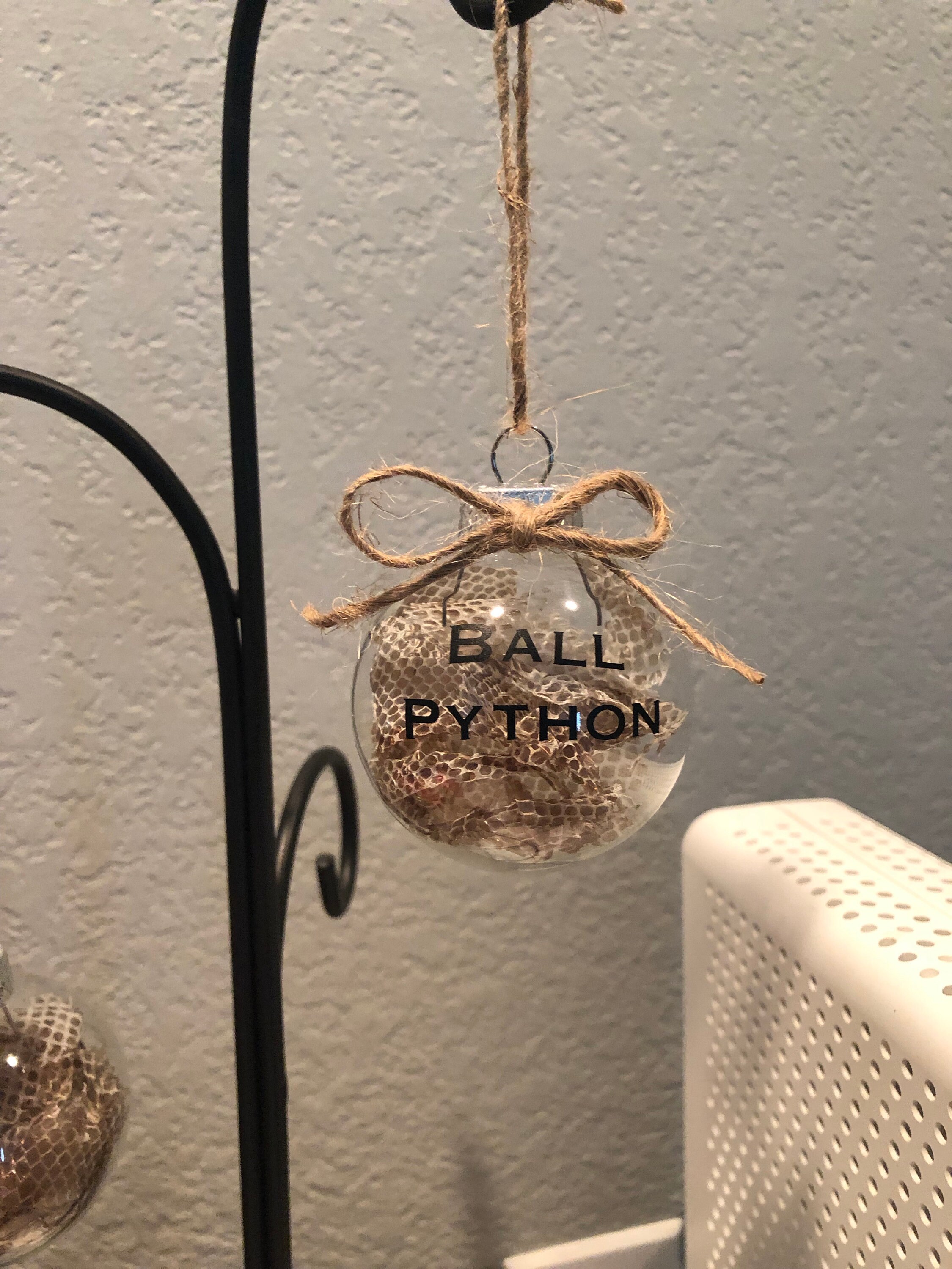 Authentic Ball Python Snake Shed Ornament Etsy