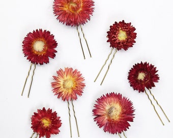 Dried Red Strawflowers Hair Pins | Preserved Flower Bridal Accessories