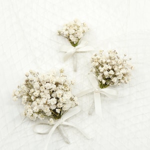 Dried Baby's Breath Boutonniere Pins included image 1