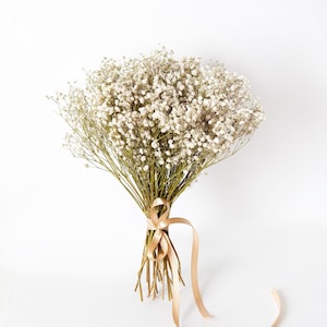 Baby’s Breath Eucalyptus Billy Ball Bouquet  | Minimalist Wedding Bouquet