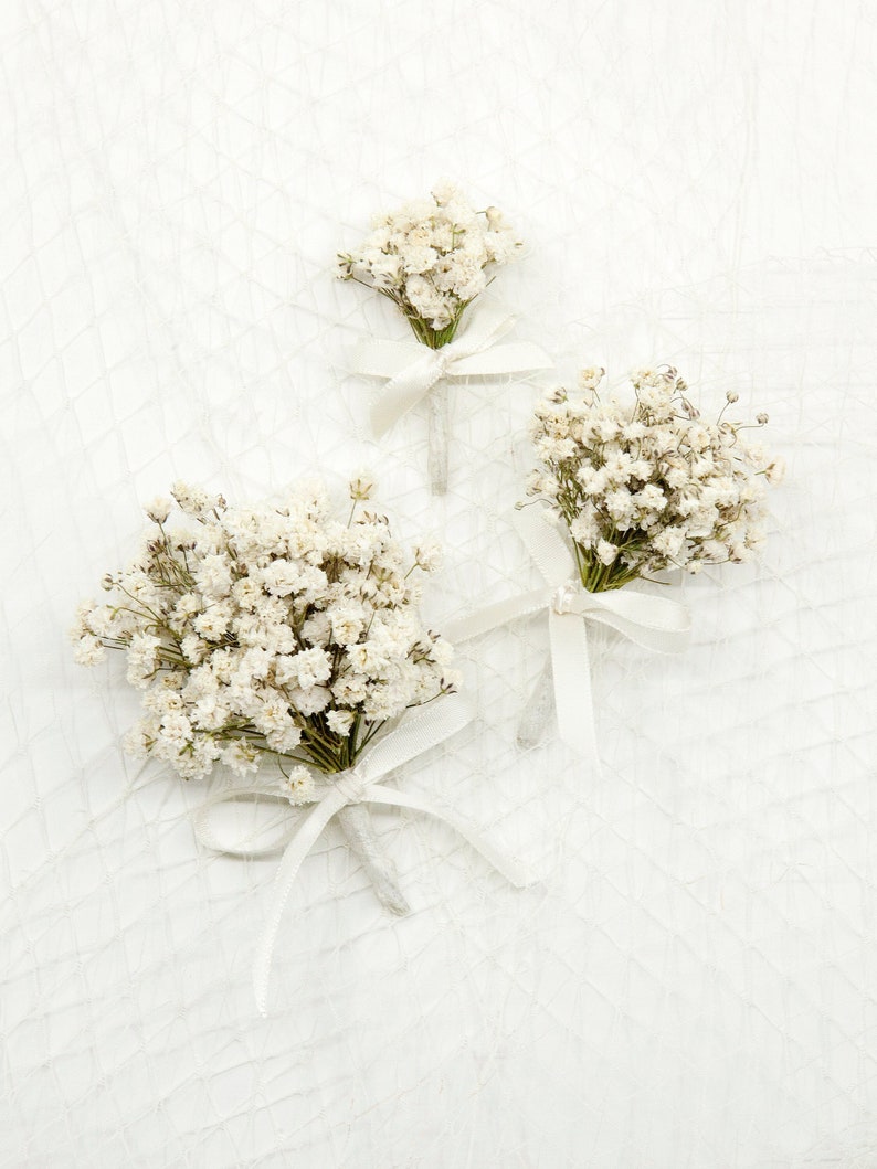 Dried Baby's Breath Boutonniere Pins included image 1