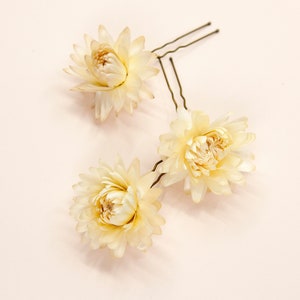 Dried Beige Strawflowers Hair Pins Preserved Flower Bridal Accessories Medium Pins