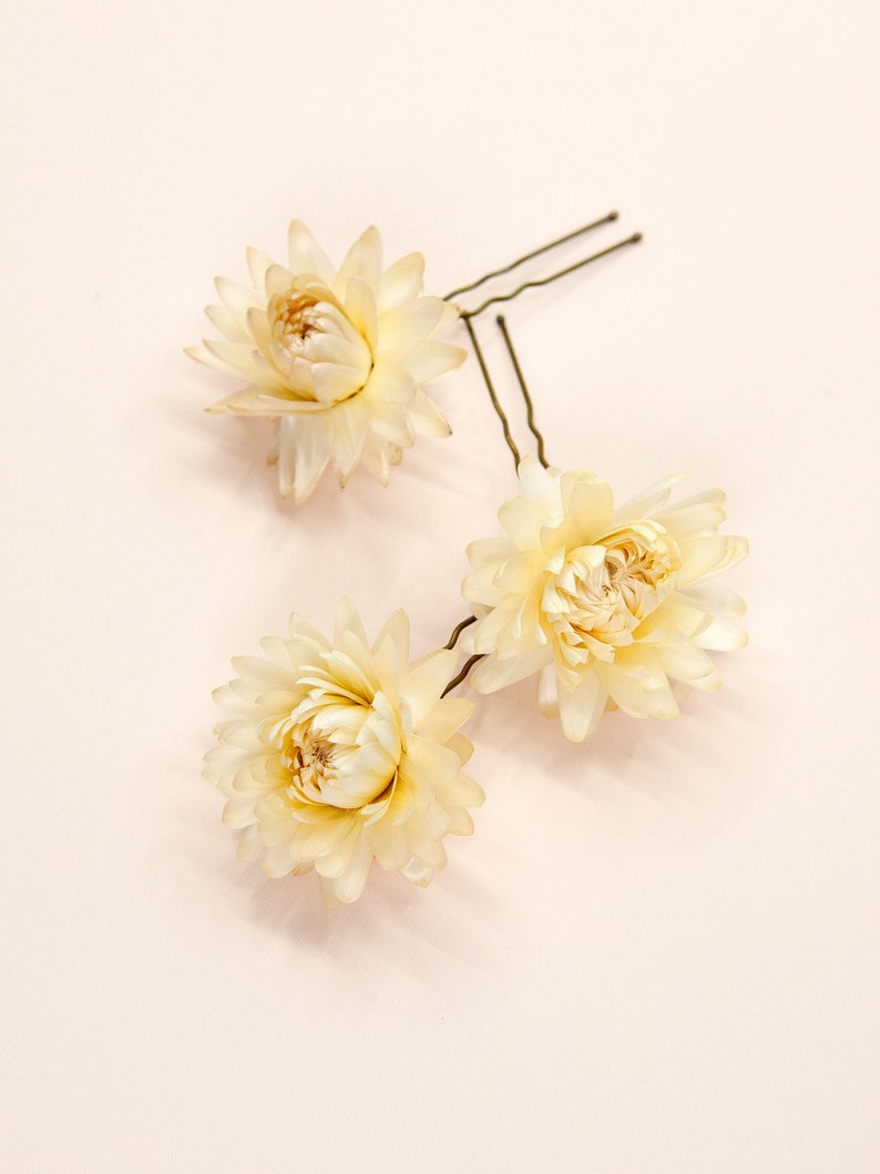 Dried Beige Strawflowers Hair Pins Preserved Flower Bridal Accessories Medium Pins