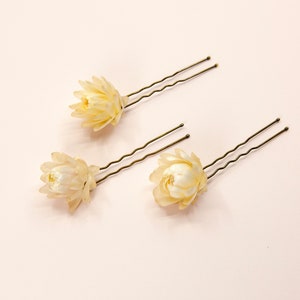 Dried Beige Strawflowers Hair Pins Preserved Flower Bridal Accessories Mini Pins