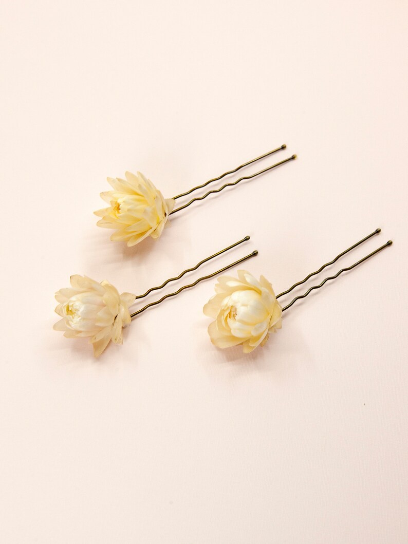 Dried Beige Strawflowers Hair Pins Preserved Flower Bridal Accessories Mini Pins