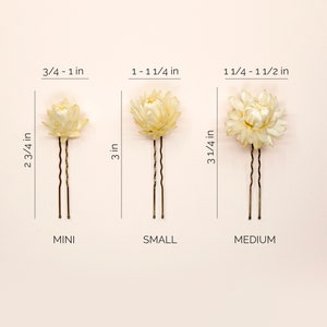 Dried Beige Strawflowers Hair Pins Preserved Flower Bridal Accessories image 5