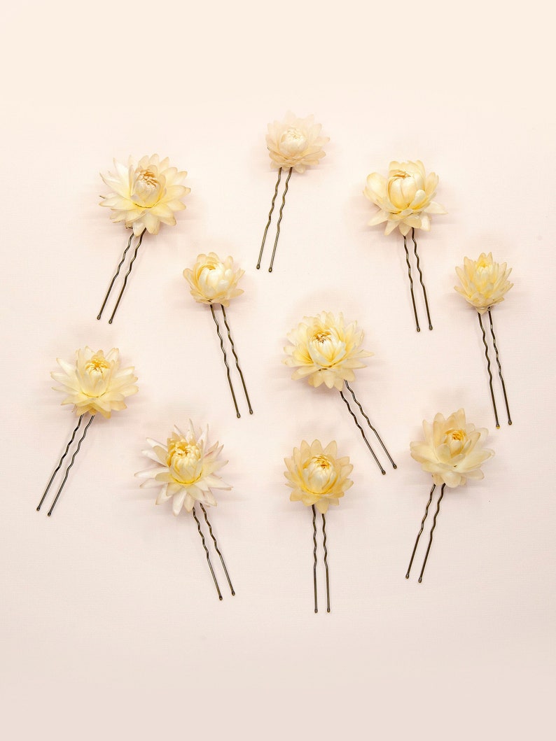 Dried Beige Strawflowers Hair Pins Preserved Flower Bridal Accessories Mixed Sizes