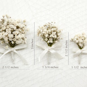 Dried Baby's Breath Boutonniere Pins included image 8