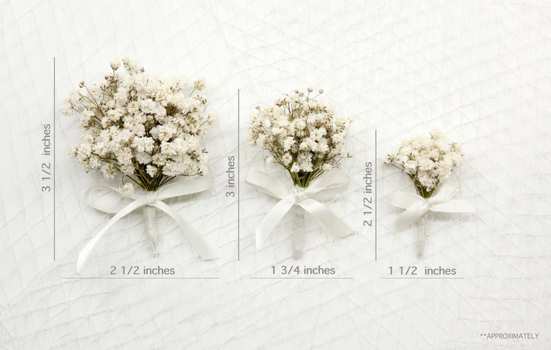 Dried Baby's Breath Boutonniere Pins included image 8