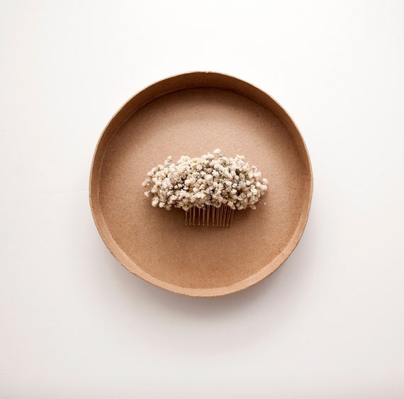 Dried Baby display picture 1