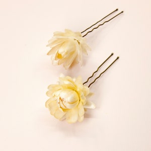 Dried Beige Strawflowers Hair Pins Preserved Flower Bridal Accessories Small Pins