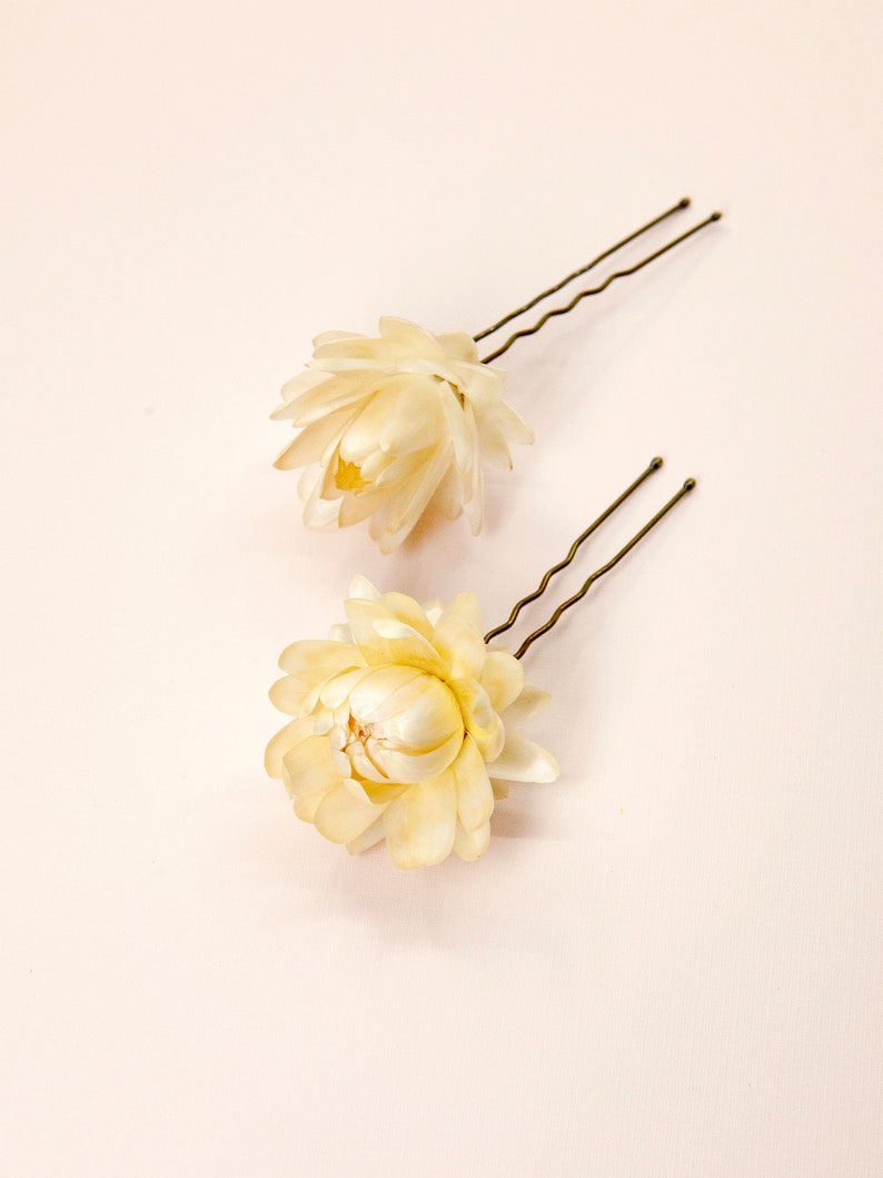 Dried Beige Strawflowers Hair Pins Preserved Flower Bridal Accessories Small Pins