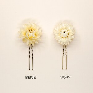 Dried Beige Strawflowers Hair Pins Preserved Flower Bridal Accessories image 6