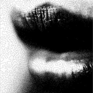Plexi Puzzle, 190 pieces - Lips