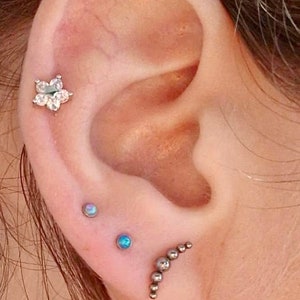 x1 16 G Flower Stainless Steel Silver Barbell Cartilage Earring Piercing Jewellery Tragus Helix Stud 6mm Bar