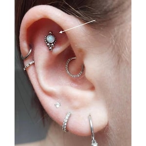 May include: Close-up of an ear with multiple piercings. A silver stud with a light blue stone is in the upper ear. Other piercings include a hoop, a small ring, and a curved barbell with clear stones.