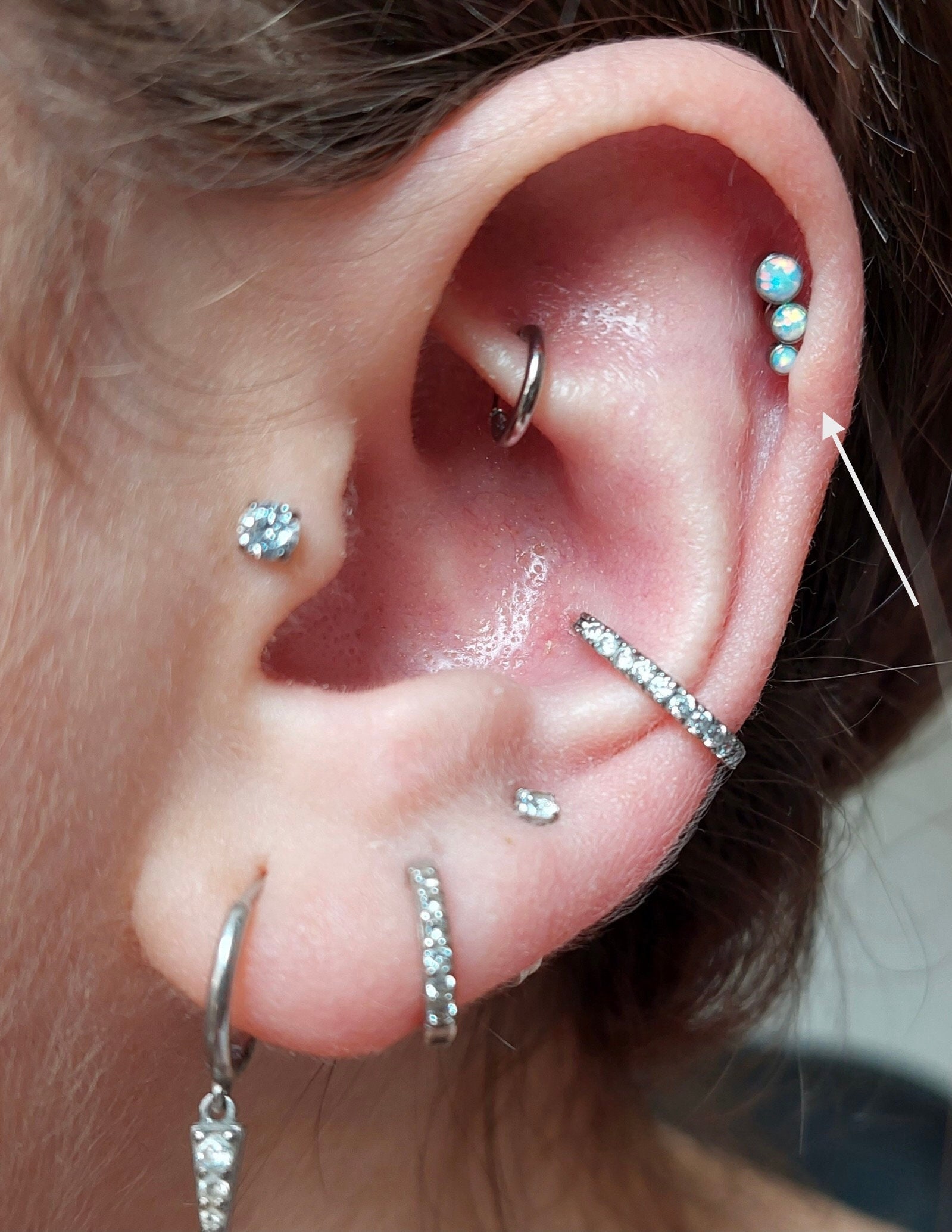 Solstice Barbell Stud Earring Helix Piercing Helix Tragus 