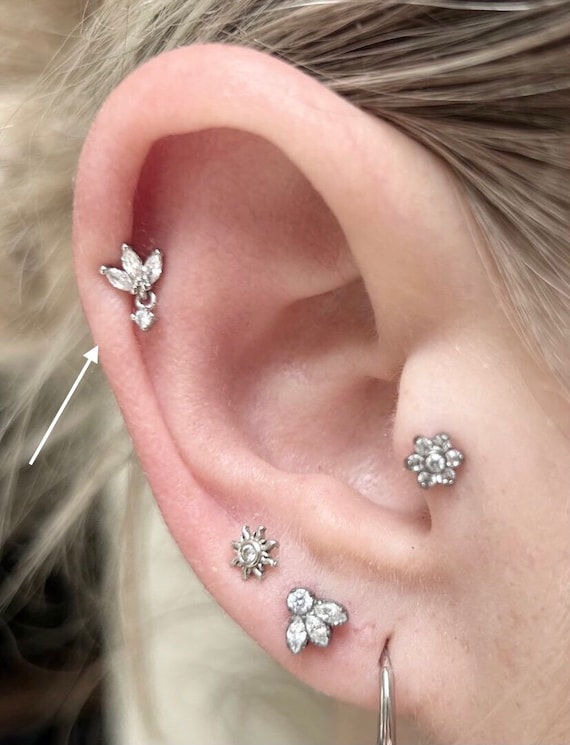 Conch Marquise Crown Helix Earring Buy 16G Stainless Steel Push