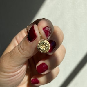 Intaglio Star Charm. Victorian Star Pendant. Starry Pendant. Antique Celestial Talisman. Stick Pin Conversion. Starburst Pendant.