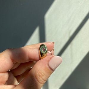 May include: A gold signet ring with a small, round, red gemstone set in the center of the oval top.