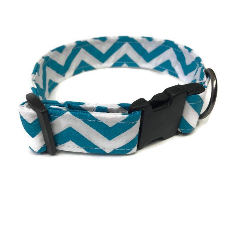 Male Dog Collar Boy Dog Collar Puppy Collar Cute Dog Collar Etsy