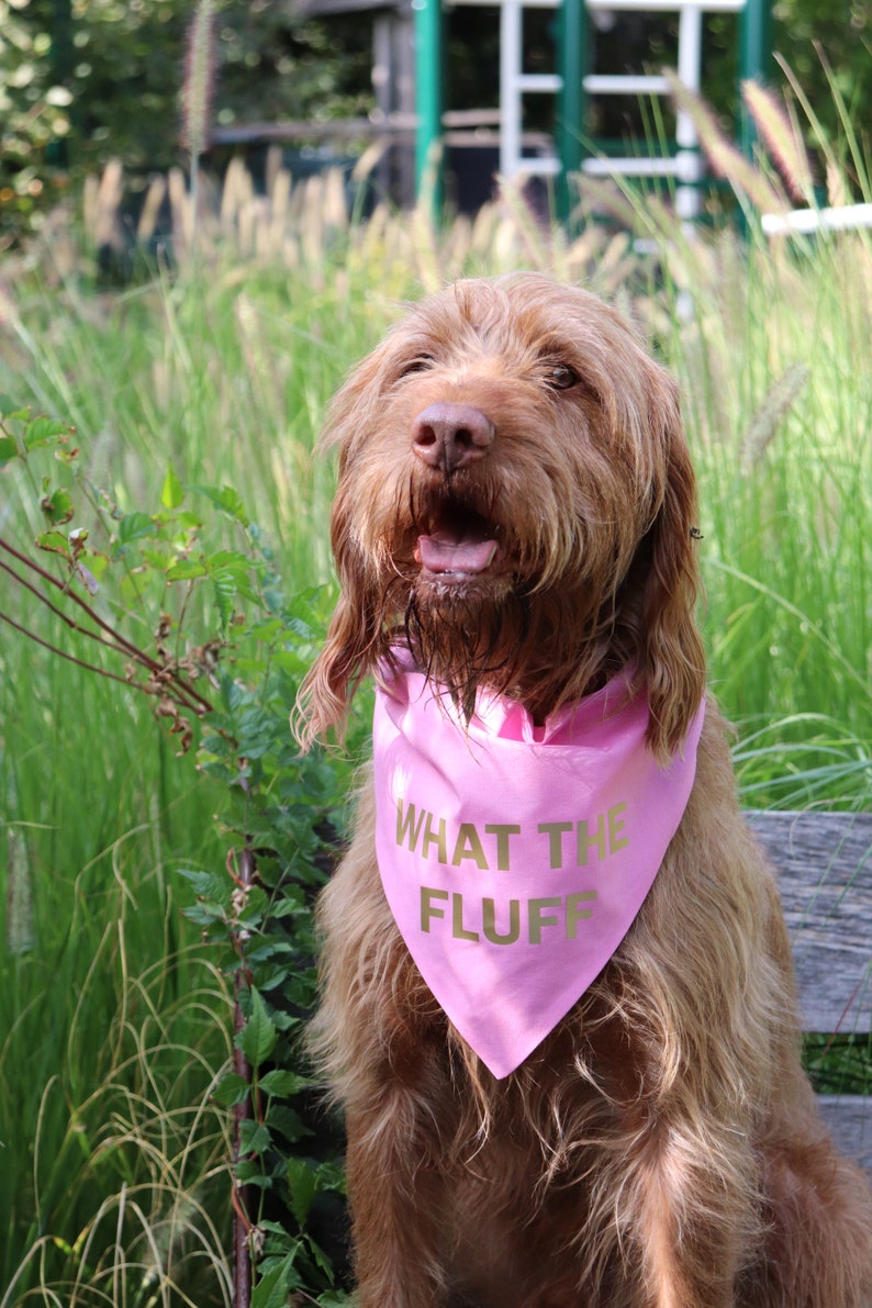 Dog gift What The Fluff over the collar dog bandana Large dog bandana Custom color dog bandana Funny pet gifts Slip on dog bandanas