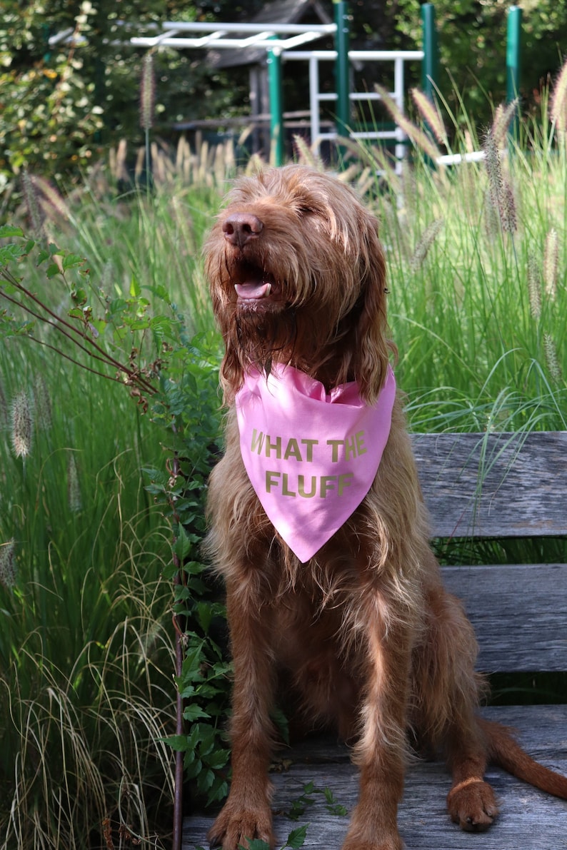 Dog gift What The Fluff over the collar dog bandana Large dog bandana Custom color dog bandana Funny pet gifts Slip on dog bandanas