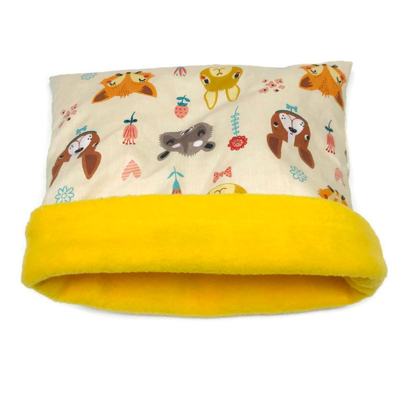 pet hedgehog accessories