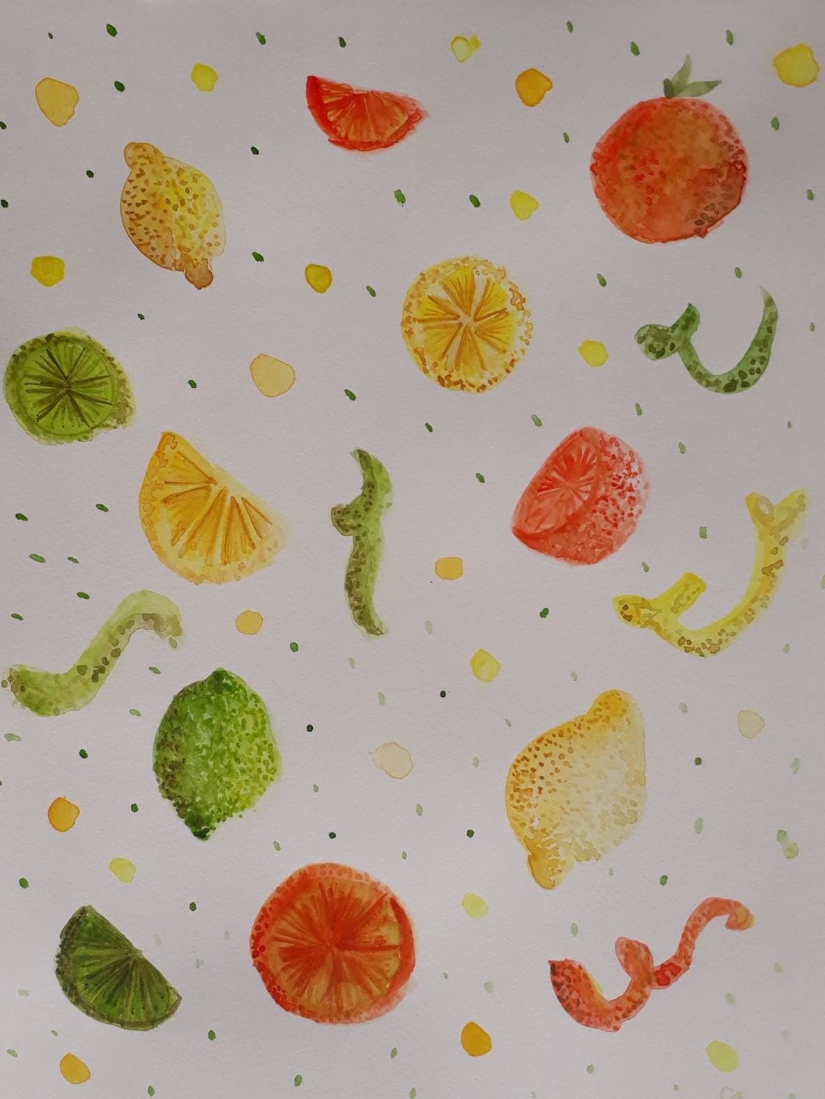 Affiche Aquarelle Originale Agrumes - Citrus Fruits Original Watercolor Poster- Citron Lemon