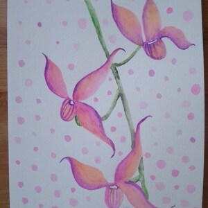 Aquarelle originale orchydees - orghyds watercolor