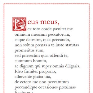 Act of Contrition (Latin) Catholic prayer card / printable A4 wall art / Christian decor