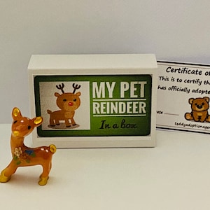 La mia renna domestica in una scatola di fiammiferi Mini regalo originale e sciocco