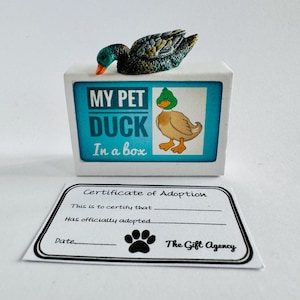 Mi mascota, pato en una caja, caja de cerillas, mini regalo tonto novedoso