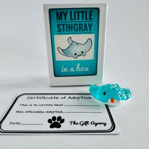 Mini-nieuwigheidscadeau My Little Stingray in a Box met adoptiecertificaat