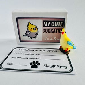 Il mio simpatico cacatua in una scatola di fiammiferi Mini regalo originale e sciocco