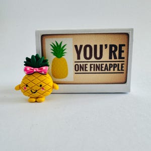 You're One Fineapple - Mini ananas dans une boîte d'allumettes - Alternative aux cartes de voeux