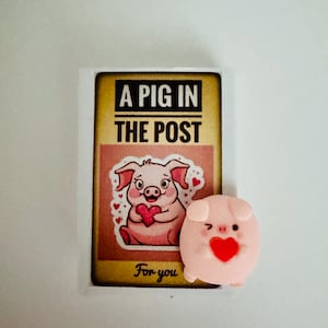 Un maiale nella posta per te in una scatola Mini regalo originale