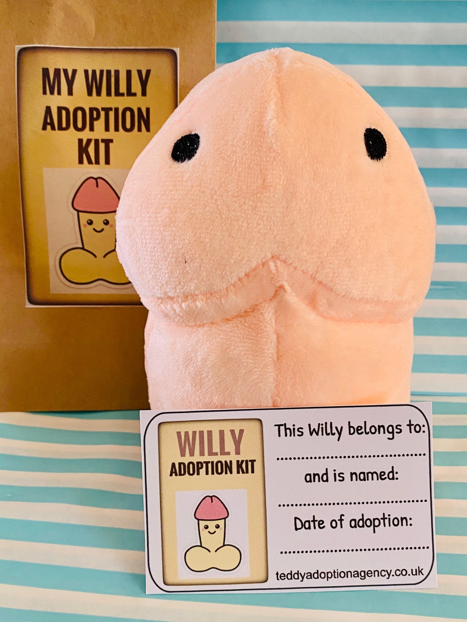 Novelty Naughty Plush Willy Adoption Kit Hen Favour Silly Etsy