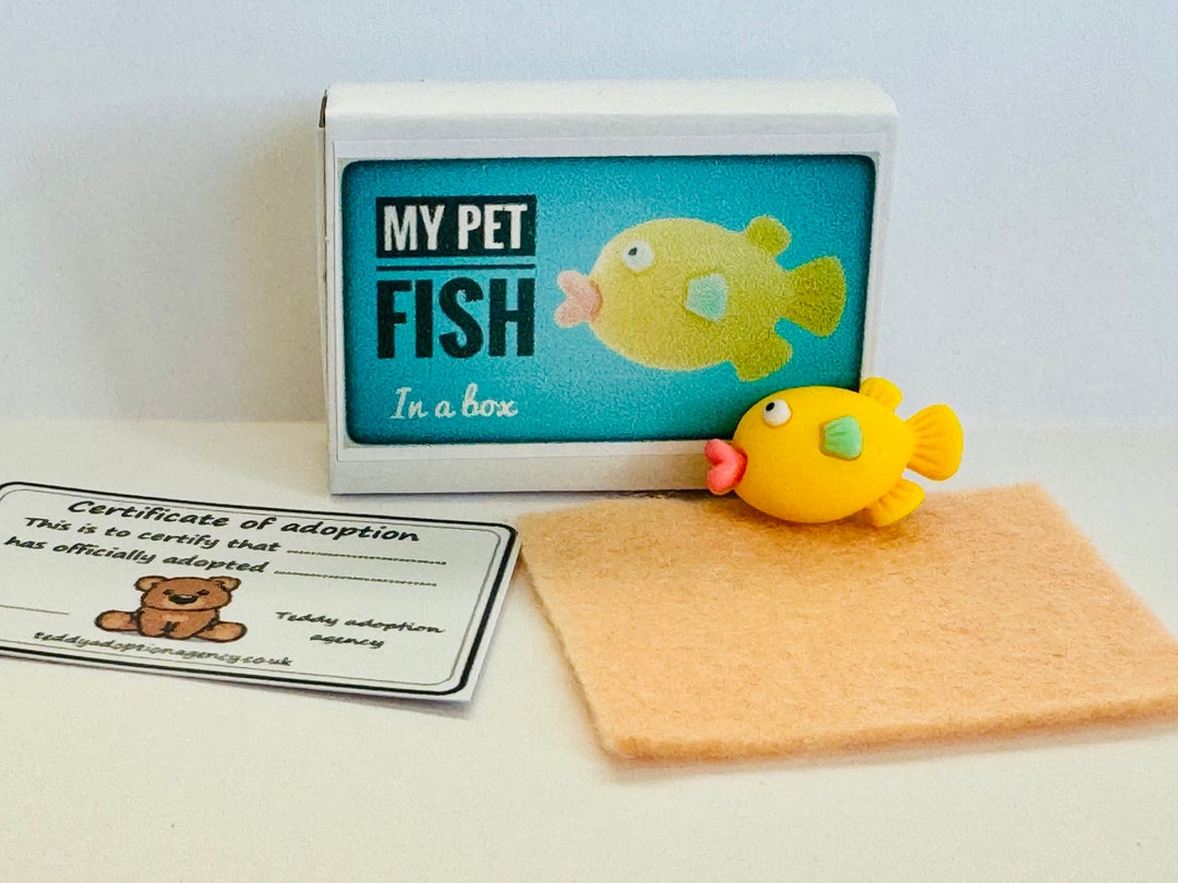 My Pet Fish in a Box Matchbox Mini Novelty Silly Gift Etsy