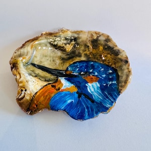 Könnte beinhalten: Handbemalte Austernschale mit einem leuchtend blauen und orangefarbenen Eisvogel. Die Federn des Vogels sind detailliert dargestellt, vor dem Hintergrund der natürlichen Textur der Schale. Ein einzigartiges Stück Küstendeko.