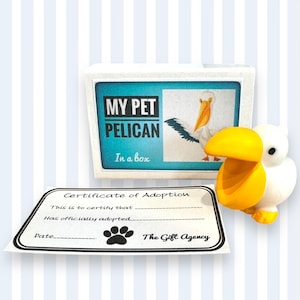 Mini cadeau idiot fantaisie My Pet dans une boîte d'allumettes