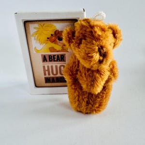 Mini ours câlin dans une boîte en peluche marron