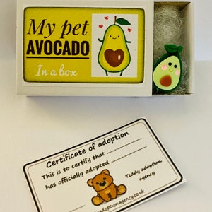 Mini Pets - My Pet Avocado in a Box with Adoption Certificate
