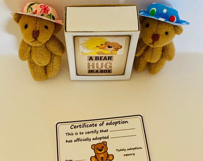 A Bear Hug in a Box Mini Traditional Teddy Gift Bear in Hat Etsy UK