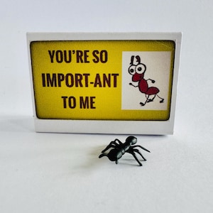 Sei così importante per me - Divertente novità regalo - Alternativa alla cartolina d'auguri